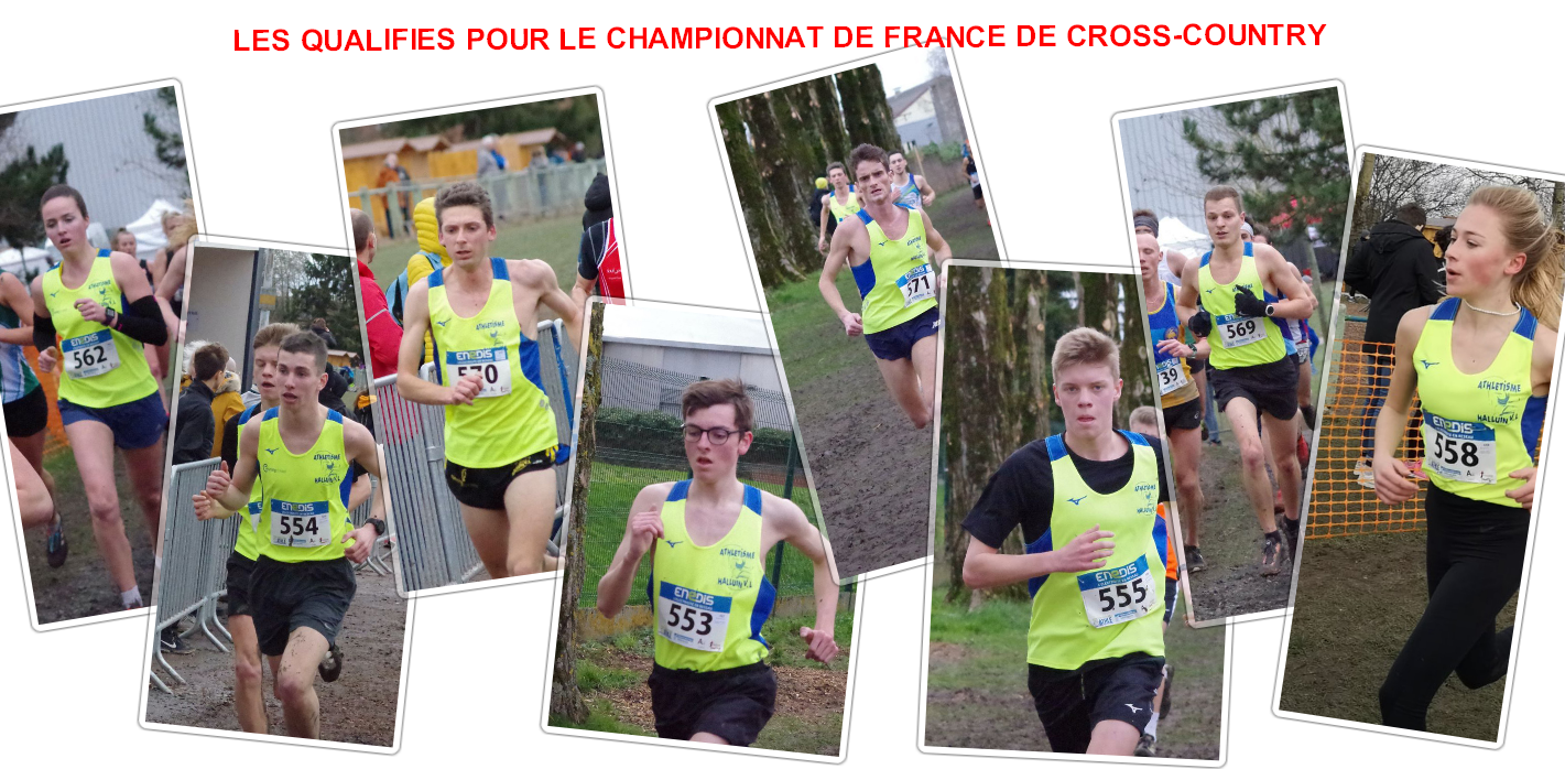 Qualifiees_France_cross_Montauban.png